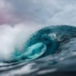 Meet your Posher, Mikayla